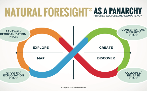 Natural Foresight as a panarchy framework