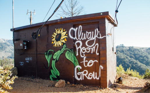 a building with graffiti of a flower and text that says "always room to grow"