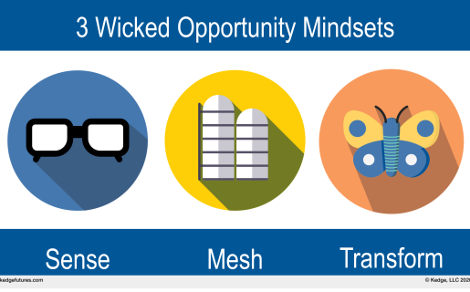 3 Wicked Opportunity Mindsets: Sense, Mesh, Transform