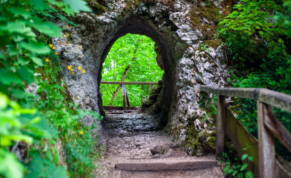 looking into the entrance of a secret garden