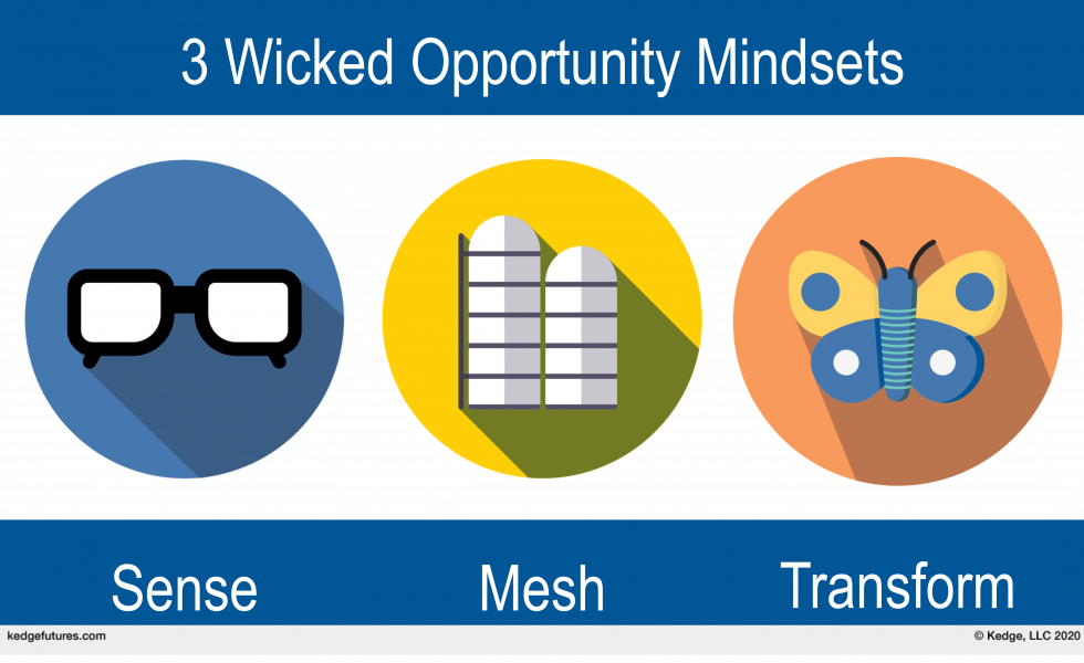 3 Wicked Opportunity Mindsets: Sense, Mesh, Transform