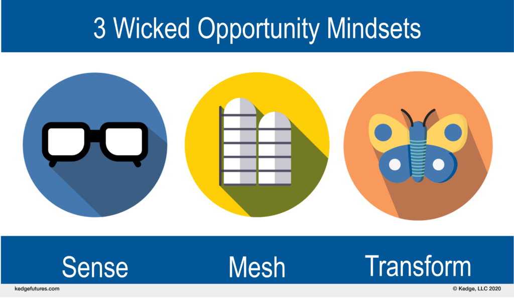 3 Wicked Opportunity Mindsets: Sense, Mesh, Transform